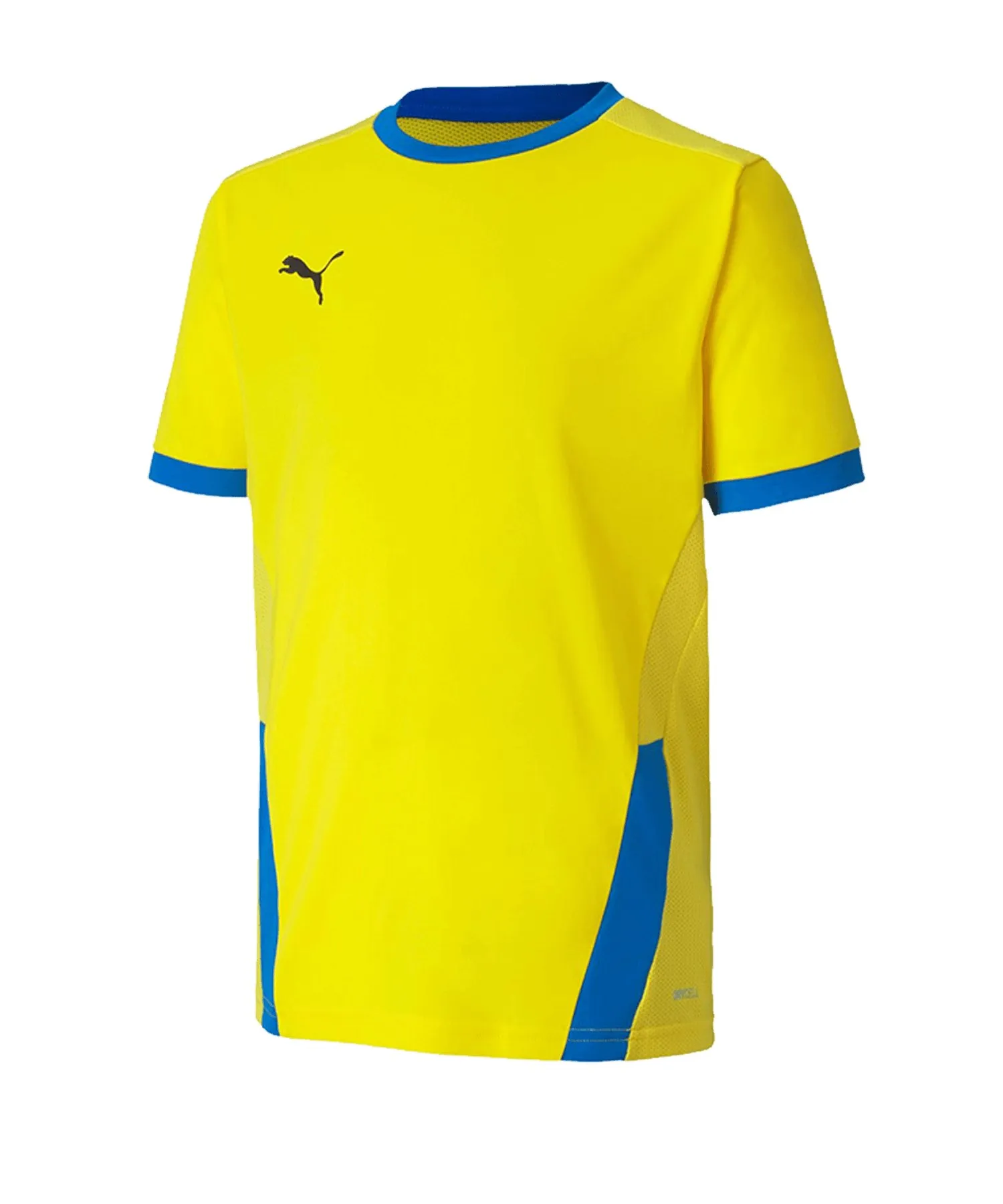 PUMA teamGOAL 23 Trikot kurzarm Kinder (017)